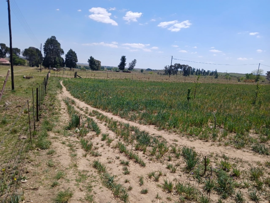 Commercial Property for Sale in Hobhouse Free State